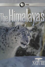 The Himalayas 2011 one on netflix