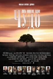 Miracle 2013 one on netflix