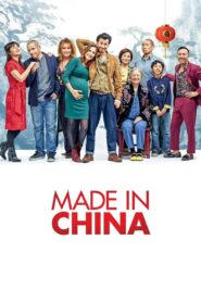 Made in China 2019 one on netflix