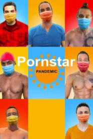 Pornstar Pandemic 2020 one on netflix
