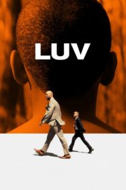 LUV 2013 one on netflix