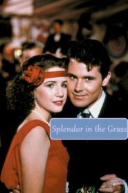 Splendor in the Grass 1981 one on netflix
