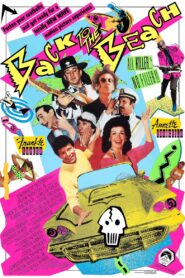Back to the Beach 1987 one on netflix