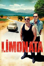 Lemonade 2015 one on netflix