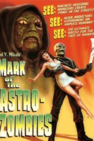 Mark of the Astro-Zombies 2004 one on netflix