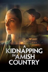 A Kidnapping in Amish Country 2024 one on netflix