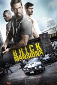 Brick Mansions 2014 one on netflix