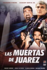 Las Muertas de Juárez 2002 one on netflix