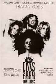 VH1 Divas 2000: A Tribute to Diana Ross 2000 one on netflix