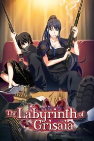 The Labyrinth of Grisaia 2015 one on netflix