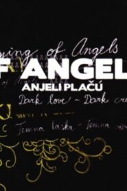 Crying of Angels 2005 one on netflix