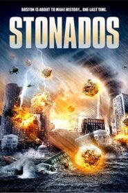 Stonados 2013 one on netflix