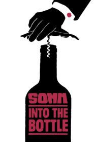 Somm: Into the Bottle 2015 one on netflix