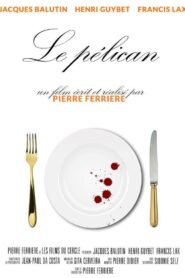 Le Pélican 1992 one on netflix