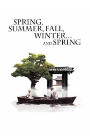 Spring, Summer, Fall, Winter… and Spring 2003 one on netflix