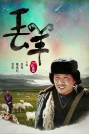 丢羊 2016 one on netflix