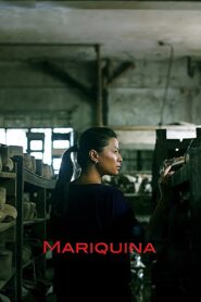 Mariquina 2014 one on netflix