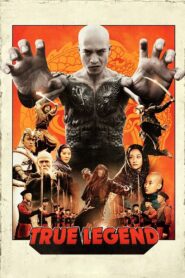 True Legend 2010 one on netflix