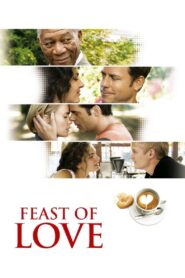 Feast of Love 2007 one on netflix
