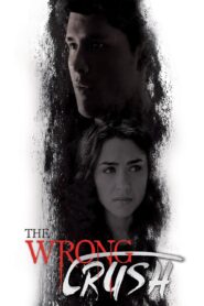 The Wrong Crush 2017 one on netflix