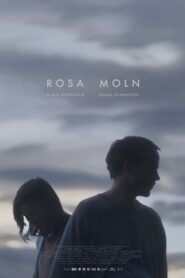 The Pink Cloud Syndrome 2018 one on netflix