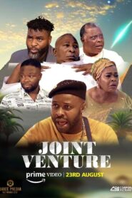 Joint Venture 2024 one on netflix