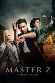 Master Z: Ip Man Legacy 2018 one on netflix