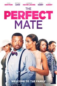 The Perfect Mate 2020 one on netflix