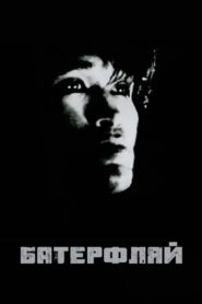 Batterflyay 1993 one on netflix