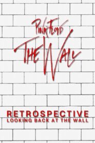 Retrospective: Looking Back at the Wall 1999 one on netflix