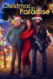 Christmas in Paradise 2022 one on netflix