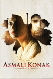 Asmalı Konak: Hayat 2003 one on netflix