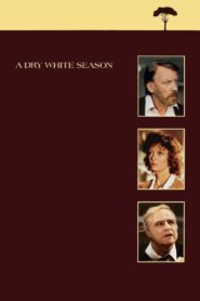 A Dry White Season 1989 one on netflix