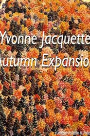 Yvonne Jacquette: Autumn Expansion 1985 one on netflix