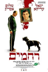 Rachamim 2007 one on netflix