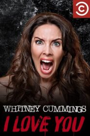 Whitney Cummings: I Love You 2014 one on netflix