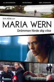 Drömmen förde dig vilse 2013 one on netflix
