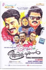 Female Unnikrishnan 2015 one on netflix