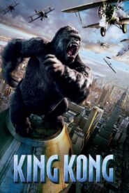 King Kong 2005 one on netflix