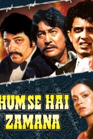 Hum Se Hai Zamana 1983 one on netflix