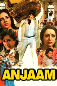 Anjaam 1987 one on netflix