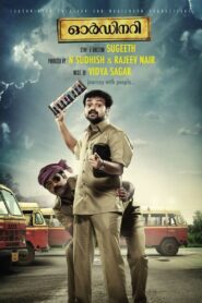 Ordinary 2012 one on netflix