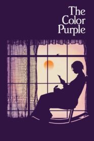 The Color Purple 1985 one on netflix