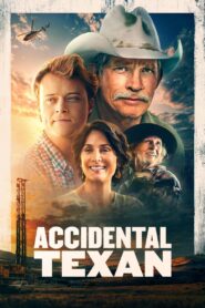 Accidental Texan 2024 one on netflix