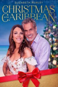 Christmas in the Caribbean 2022 one on netflix