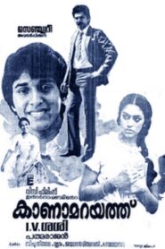 Kanamarayathu 1984 one on netflix