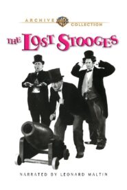 The Lost Stooges 1990 one on netflix