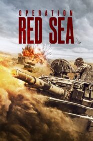 Operation Red Sea 2018 one on netflix