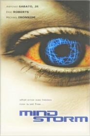 Mindstorm 2001 one on netflix