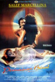 Wild Games 1995 one on netflix